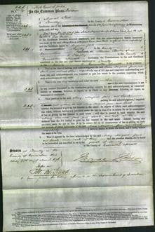 Court of Common Pleas - Mary Roberts, Margaret Evans, Jane Davies, Sarah Davies-Original Ancestry