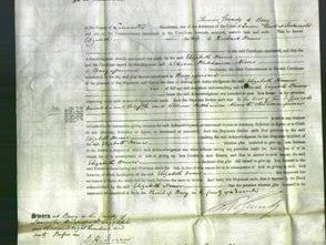 Court of Common Pleas - Elizabeth Hamer-Original Ancestry