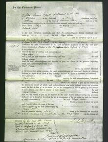 Court of Common Pleas - Eliza Mew-Original Ancestry