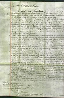 Court of Common Pleas - Elizabeth Matilda Howman and Sarah Booy-Original Ancestry