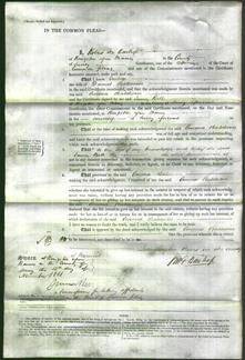 Court of Common Pleas - Emma Baldwin-Original Ancestry