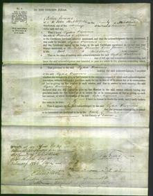 Court of Common Pleas - Lydia Burrows-Original Ancestry