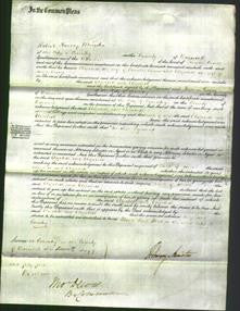 Court of Common Pleas - Elizabeth Evans and Elizabeth Brown-Original Ancestry