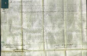 Court of Common Pleas - Elizabeth Davis, Frances Fanny Irish and Mary Carter-Original Ancestry