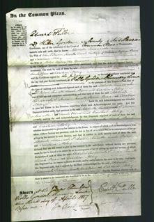 Court of Common Pleas - Adelaide Susannah J'Anson, Annette Sarah Paine and Caroline Miley-Original Ancestry