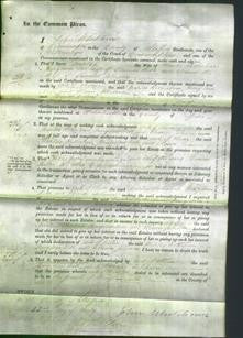 Court of Common Pleas - Matilda Rotherham, Mary Ann Betts and Eleanor Johnson