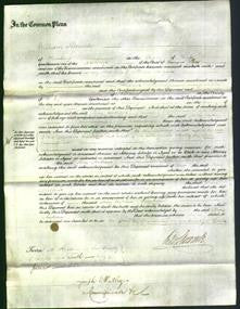 Court of Common Pleas - Mary Andrews-Original Ancestry