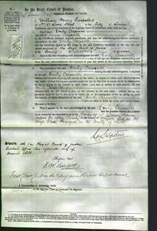 Court of Common Pleas - Emily Carpenter-Original Ancestry