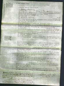Court of Common Pleas - Jane Wilford and Sarah Neave-Original Ancestry