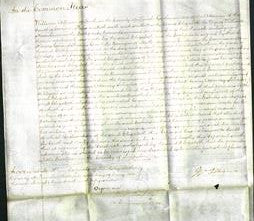 Court of Common Pleas - Elizabeth Sheardown-Original Ancestry