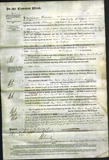 Court of Common Pleas - Ann Greaves, Mira Burton, Sarah Ironmonger, Sarah Pyatt and Harriet Williams-Original Ancestry