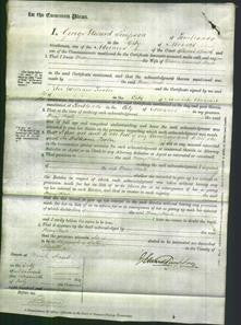 Court of Common Pleas - Mary Hoste-Original Ancestry