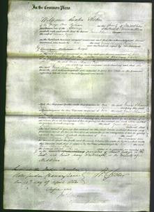 Court of Common Pleas - Grace Johanna Page-Original Ancestry