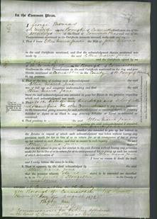 Court of Common Pleas - Ellen Maria Jane Davies-Original Ancestry