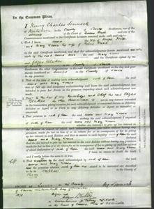 Court of Common Pleas - Anna Foster and Mary Louisa Broad-Original Ancestry