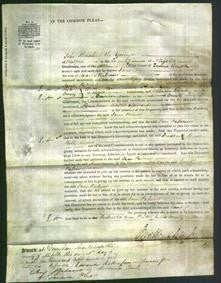 Court of Common Pleas - Jane Palmer-Original Ancestry