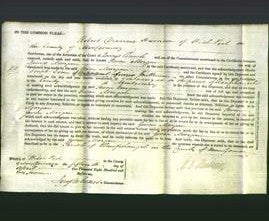 Court of Common Pleas - Gwen Morgan-Original Ancestry