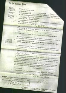 Court of Common Pleas - Elizabeth Albrow-Original Ancestry