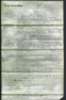 Court of Common Pleas - Mary Elizabeth Drummond-Original Ancestry