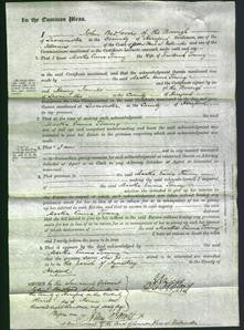 Court of Common Pleas - Martha Emma Tommy-Original Ancestry