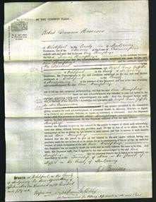 Court of Common Pleas - Ann Humphreys-Original Ancestry