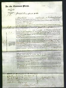 Court of Common Pleas - Margaret Moffatt-Original Ancestry