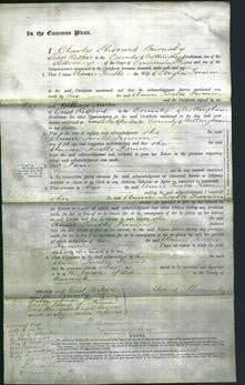 Court of Common Pleas - Annie Twells Firmin-Original Ancestry