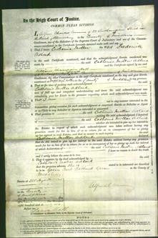 Court of Common Pleas - Catherine Mollar Adland-Original Ancestry