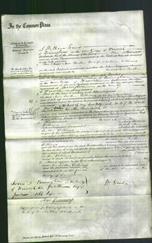 Court of Common Pleas - Ann Tarlton Williams-Original Ancestry