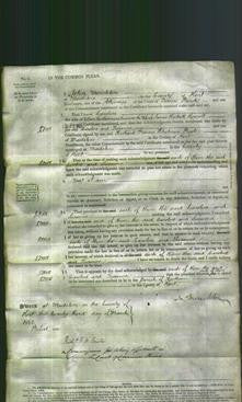 Court of Common Pleas - Caroline Woodhams-Original Ancestry