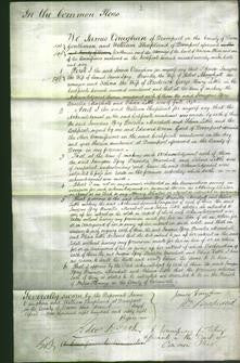 Court of Common Pleas - Imogen Spry, Priscilla Marshall and Selina Little-Original Ancestry