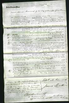 Court of Common Pleas - Eliza Tyle-Original Ancestry