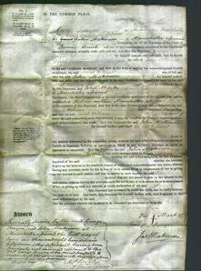 Court of Common Pleas - Sarah Williams-Original Ancestry