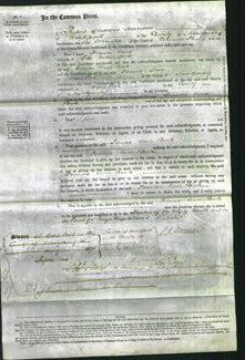 Court of Common Pleas - Frances Anne Beck-Original Ancestry