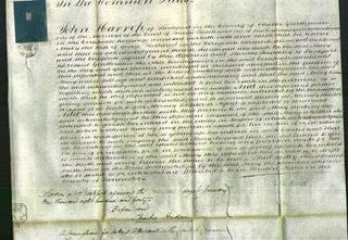 Court of Common Pleas - Mary Holland-Original Ancestry