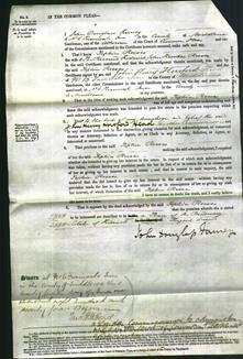 Court of Common Pleas - Sophia Reeves-Original Ancestry