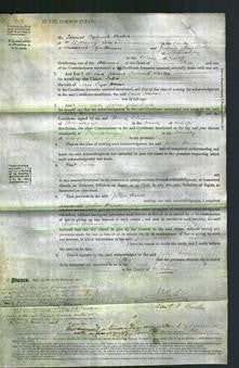 Court of Common Pleas - Julia Hamer-Original Ancestry
