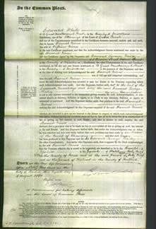 Court of Common Pleas - Harriet Niven-Original Ancestry