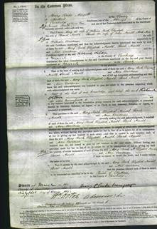 Court of Common Pleas - Mary Buck, Elizabeth Arnold, Sarah Arnold and Ann Courtman-Original Ancestry