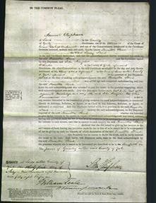 Court of Common Pleas - Henrietta Stead-Original Ancestry