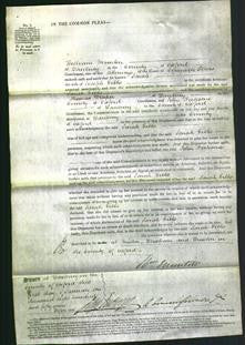 Court of Common Pleas - Sarah Gibbs-Original Ancestry