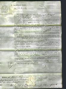 Court of Common Pleas - Sophia Tilbrook-Original Ancestry