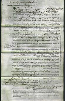 Court of Common Pleas - Anne Morgan, Mary Rice and Mary Williams-Original Ancestry