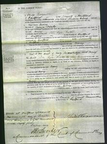 Court of Common Pleas - Mary Odell-Original Ancestry