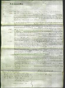Court of Common Pleas - Mary Boden-Original Ancestry