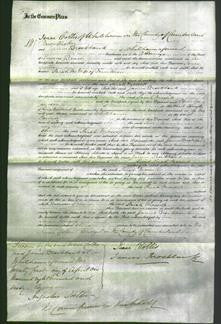 Court of Common Pleas - Sarah Mossop-Original Ancestry