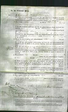 Court of Common Pleas - Hannah Lewis-Original Ancestry