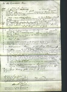 Court of Common Pleas - Mary Morse Haigh-Original Ancestry