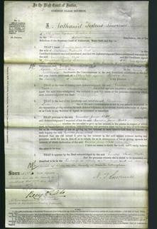 Court of Common Pleas - Emilia Jane Webb-Original Ancestry