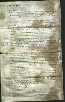 Court of Common Pleas - Eliza Cartwright-Original Ancestry